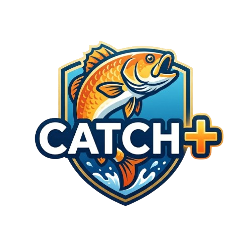 Catch Plus